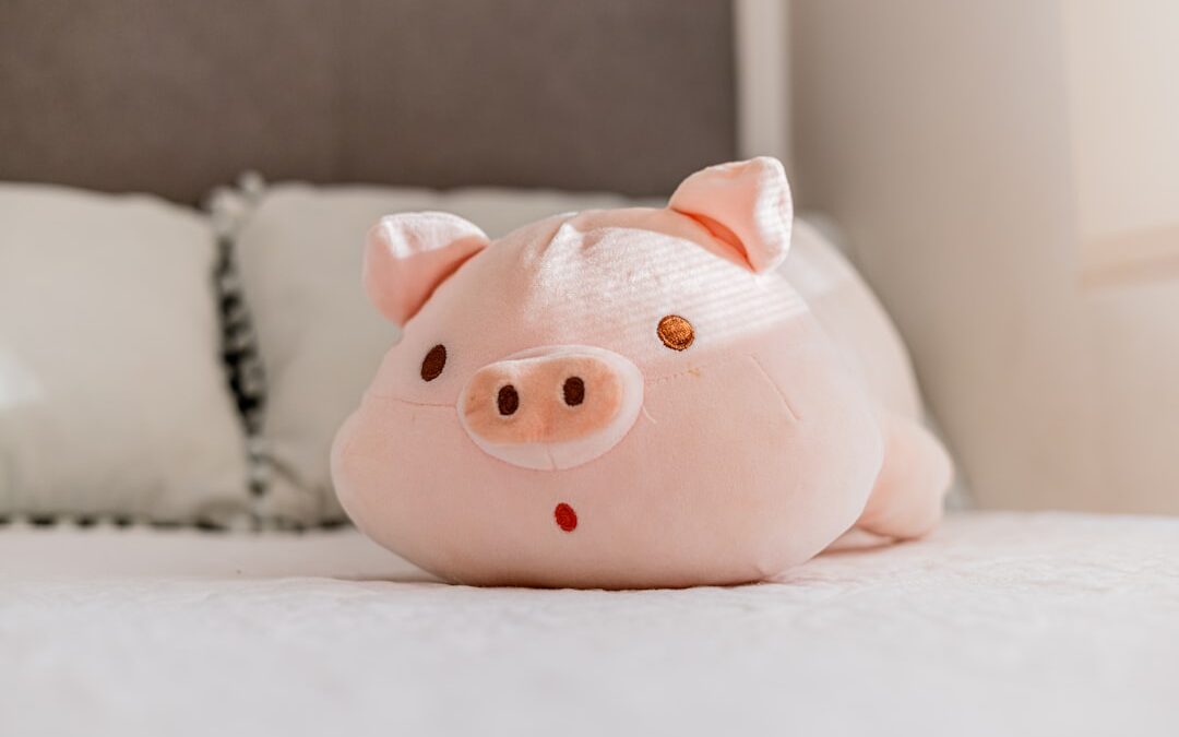 Tips om te besparen op abonnementen en vaste contracten